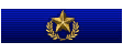 It military valor medal gold ribbon.png