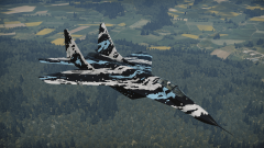 Nasty mig29.png