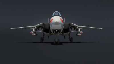 F-14A Early Wallpaper 6.jpg