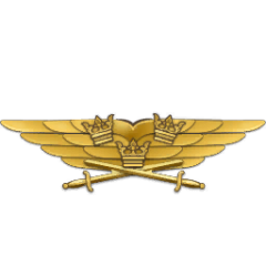 Sw pilot badge gold.png