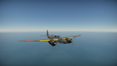 P1Y1 wideangleinflight.png