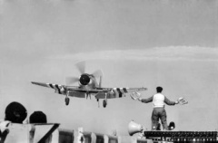 FighterImage LSO signals Sea Fury on HMAS Sydney (R17) c1951.jpg