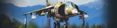 Banner harrier.jpg