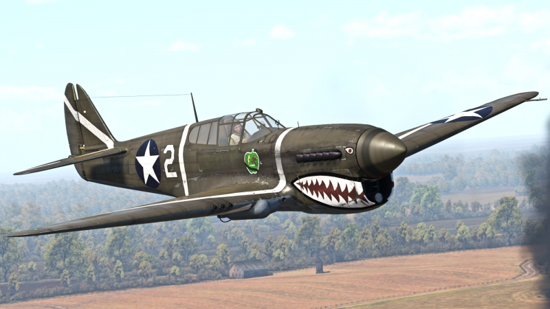 ArtImage P-40F-10.png