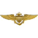 Usa sign pilot navy.png